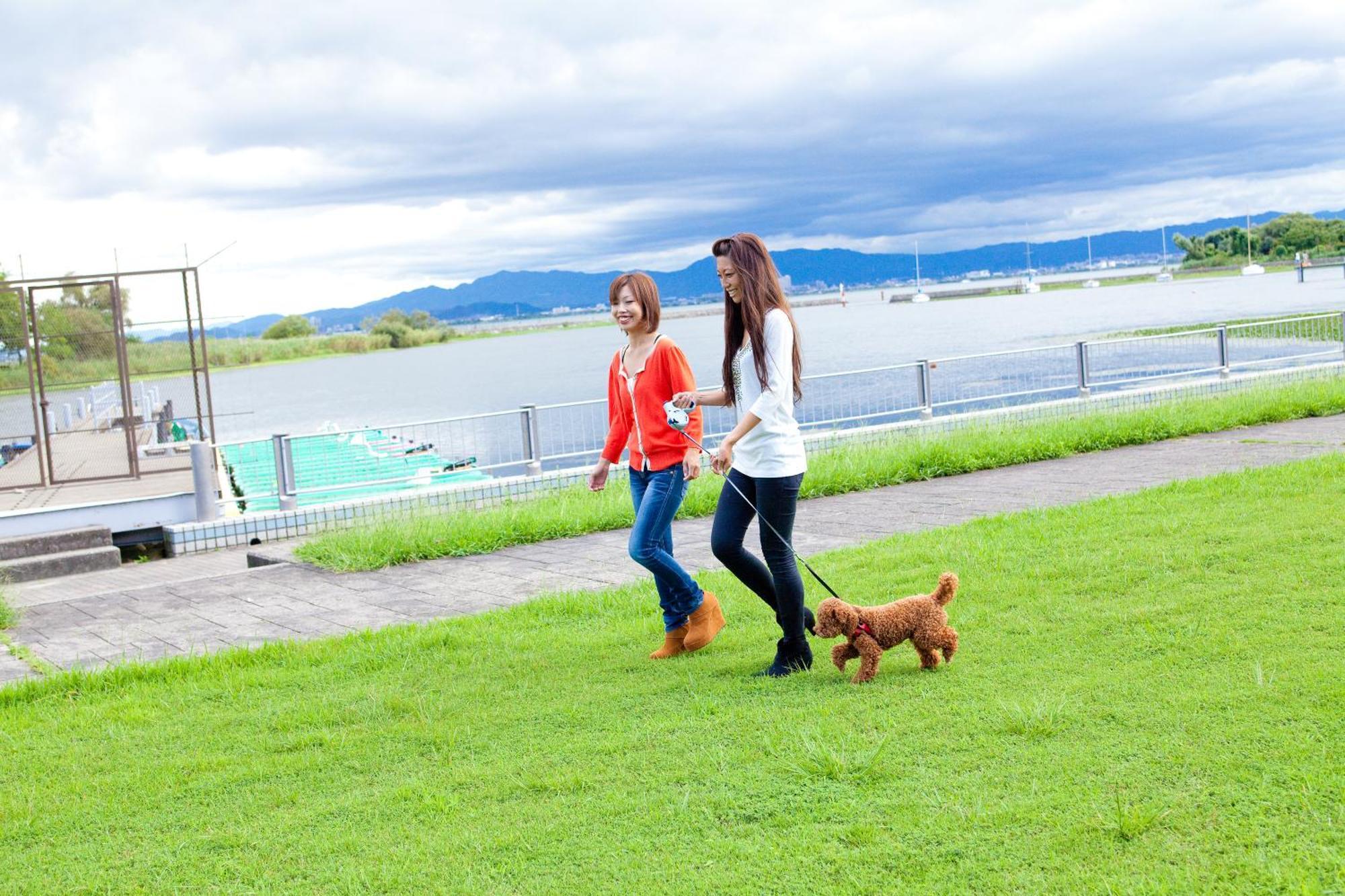 ホテル おごと温泉 暖灯館 きくのや 大津市 エクステリア 写真