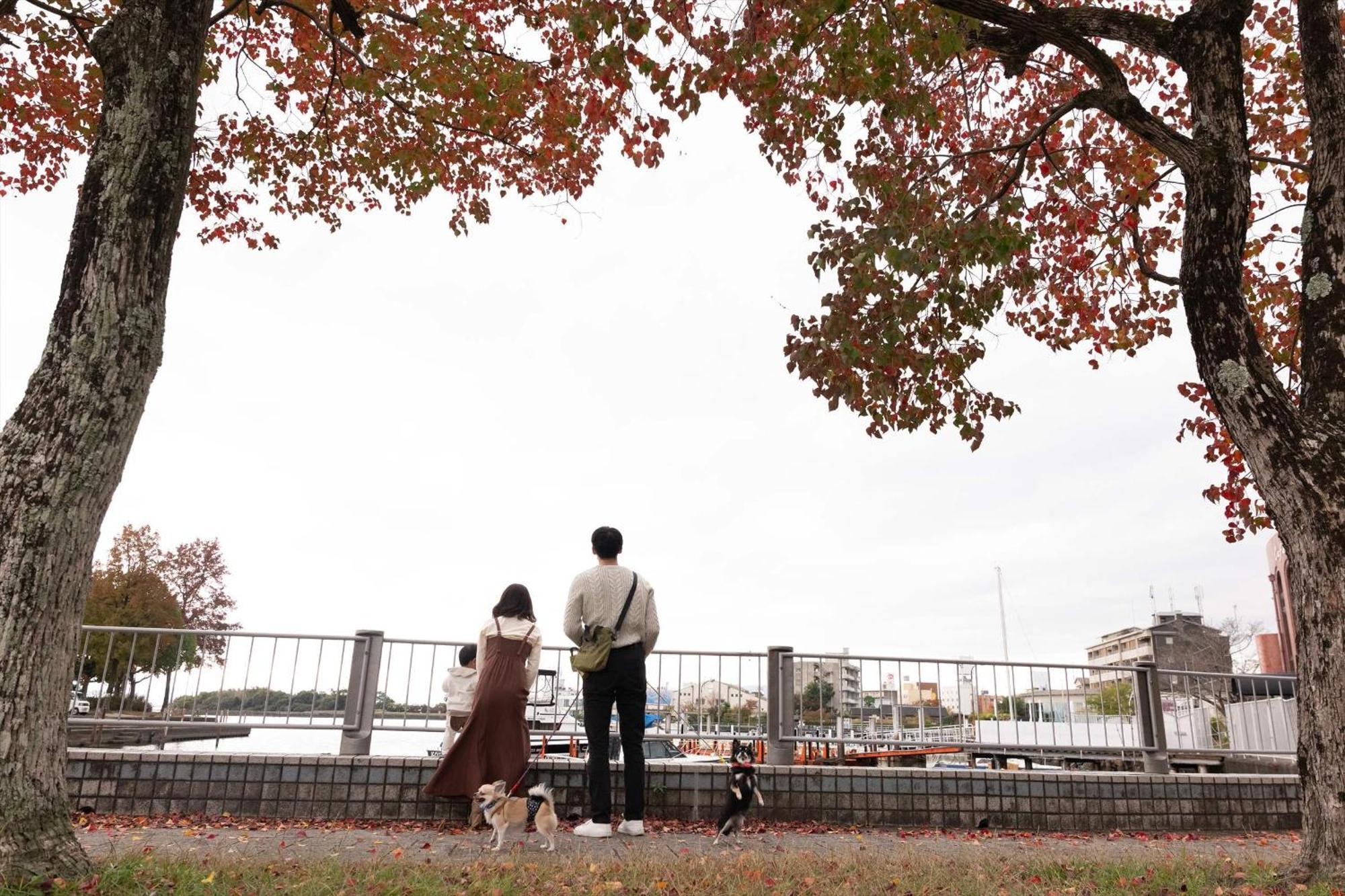 ホテル おごと温泉 暖灯館 きくのや 大津市 エクステリア 写真